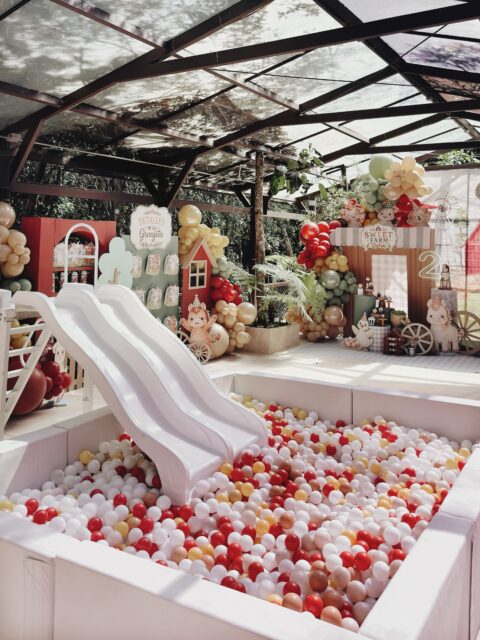 FARM PARTY 
🐷🌾 Dylan 🌾🐷 
Piscina de pelotas y estaciones de comidas: @blackhomecol 
Decoración y planeación: @mascreaciones_planner